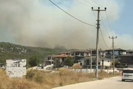 Türkiyədə daha iki meşə yanğını