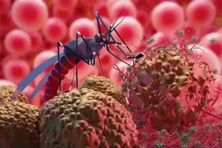 Həkimlər xəbərdarlıq etdi: - Bu meymunçiçəyindən daha təhlükəlidir