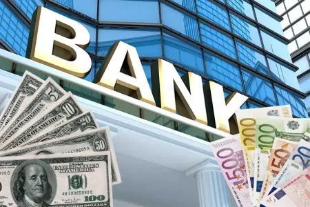 Hansı valyuta daha etibarlıdır?