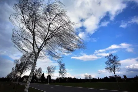 Baş Dövlət Yol Polisi İdarəsinin küləkli hava şəraiti ilə əlaqədar müraciəti