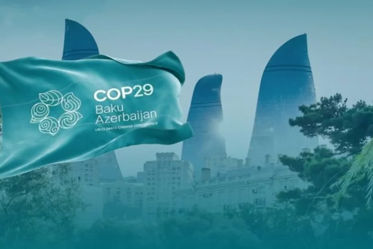 COP29 üçün viza müraciəti edən ölkələrin sayı 100-ü keçdi