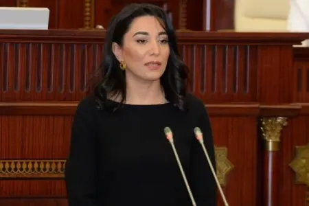 Ermənistanın mina terroru davam edir - Ombudsman