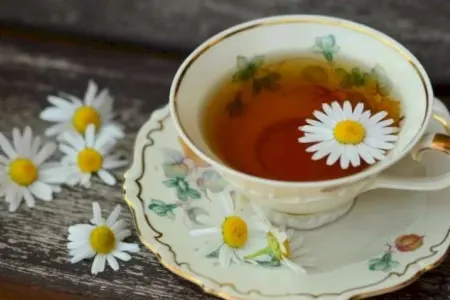 Baş ağrısını anında kəsən üç bitki çayı