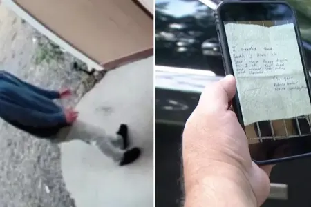 “Nəzakətli” oğru görün nə etdi?