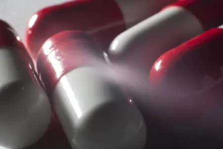 Şimal Buzlu Okeanında yeni antibiotiklər kəşf edildi