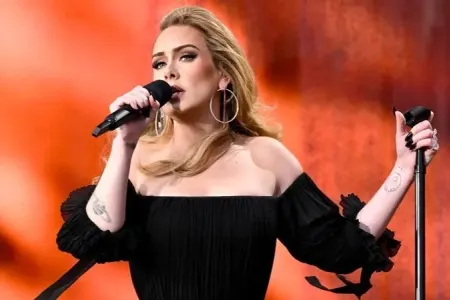 Dünyaca məşhur müğənni musiqiyə ara verir