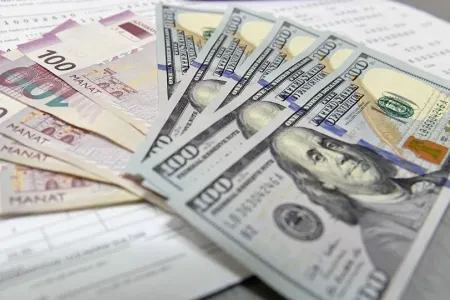 Dollar təşvişi: rəsmi qurumların susqunluğu - şübhələri artırır