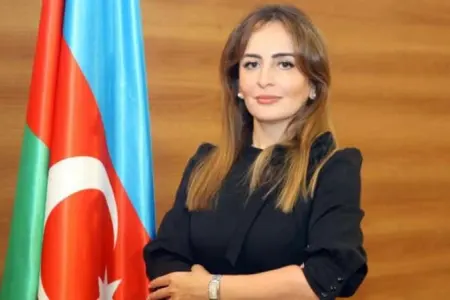 Millət vəkili seçilən xanımla bağlı iddialara cavab verildi