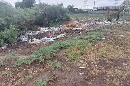 İmişlidə sanitariya-gigiyena qaydalarının təmin olunması üçün tədbirlər davam edir