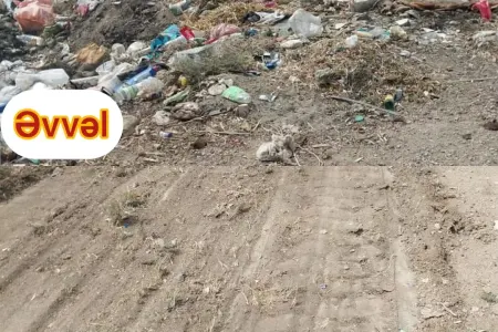 Xızıda urnalardan kənara atılan tullantılar təmizlənib