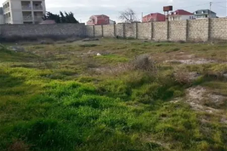 “Kupçalı” torpaqlar kütləvi satışa çıxarıldı - Azərbaycanda