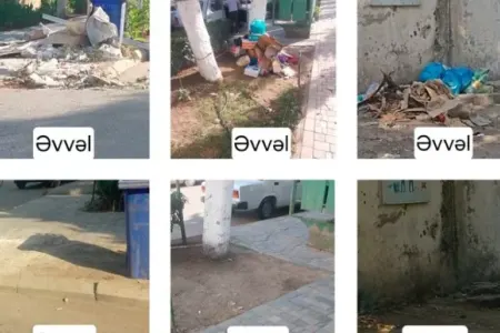 Cəlilabadda ətraf mühiti zibilləyənlər məsuliyyətə cəlb olunublar