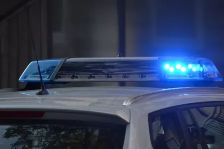 Endemik həşərat qaçaqmalçılığı: - 200 min dollar cərimə...