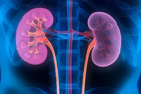 Böyrəkləri sağlam saxlamaq üçün bu qidanı - YEMƏK LAZIMDIR