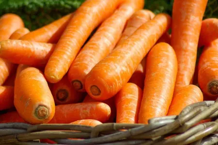 Hər gün kök yesək nə baş verər?