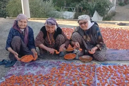 90 yaşlı dostların uzun ömür sirri: - "Hər səhər içirik"