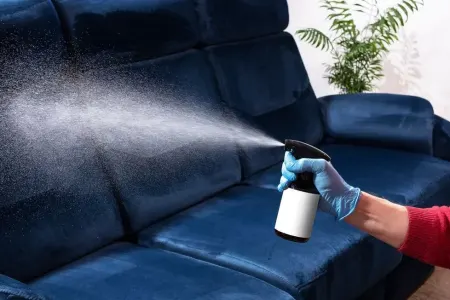 Divandakı ləkələri çıxarmaq - bu qədər asan imiş