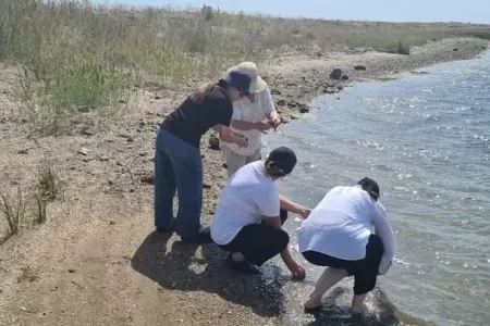Xəzərdə XIX əsrə aid gəmilərin qalıqları tapıldı - Foto