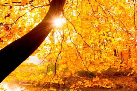 Bazar günü astronomik payız başlayacaq