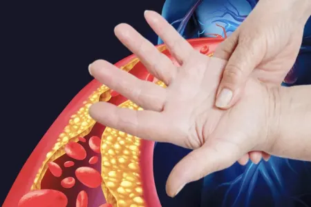 Əlləriniz sizə qaraciyərinizin sağlamlığından xəbər verir