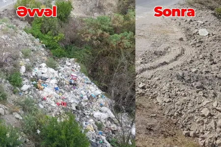 Ətraf mühiti çirkləndirən şəxslər barəsində tədbir görülüb