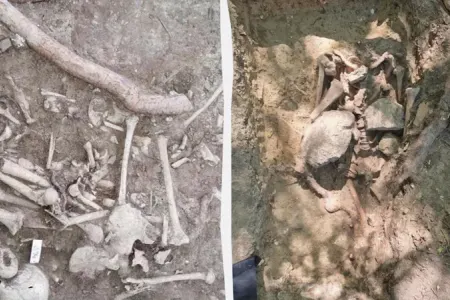 Almaniyada sinəsində daş olan "zombi"nin məzarı açıldı