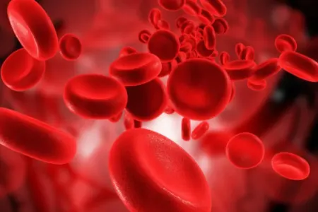 Yeni qan qrupu kəşf edildi