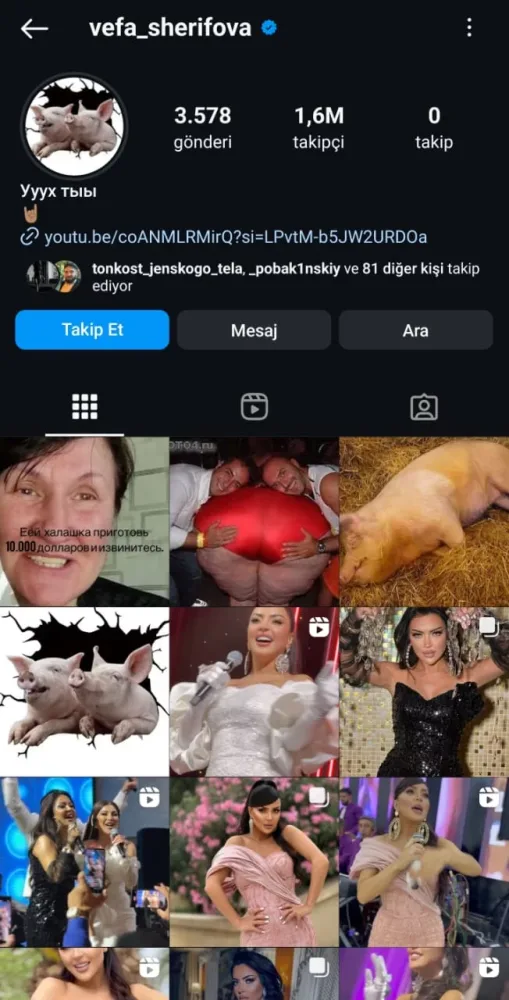 Müğənni Vəfanın səhifəsi OĞURLANDI: biarbırçı paylaşımlar edildi - -FOTO