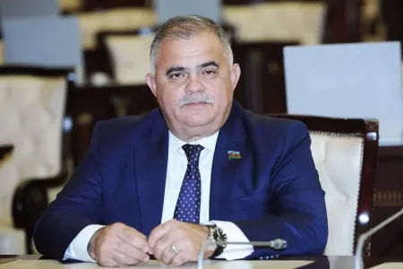 Arzu Nağıyevə yüksək vəzifə verildi