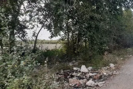 Qubada ətraf mühitin çirkləndirilməsinə qarşı tədbir keçirilib