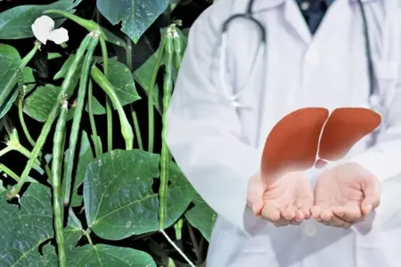 Qaraciyərinizi 1 ayda yenidən bərpa edin