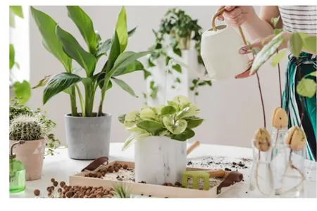 Stresi dəf etməyin yolları