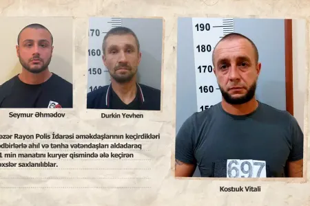 Avropadan Bakıya gəlib pensiyaçıları - TALADILAR