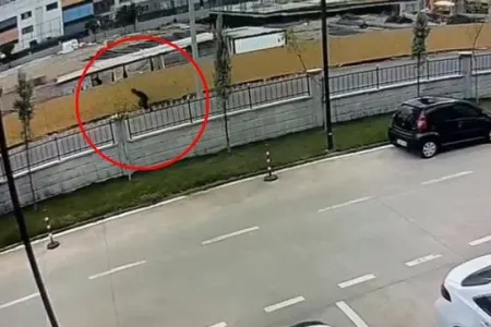ŞOK OĞURLUQ: - Polisdən qaçmaq üçün 12 metr hündürlükdən tullandı