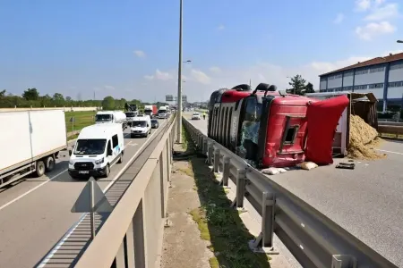 Sürücünü arı sancdı, yük maşını aşdı