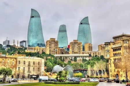 Bakıda insanlar təşviş içində - küçəni bürüyən bu canlılar nədir? - FOTO