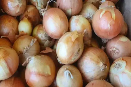 Evdə soğanı saxlamağın düzgün yolu