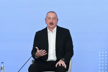 İtkin düşmüş şəxslərlə bağlı xüsusi mexanizmin yaradılmalıdır - – Prezident