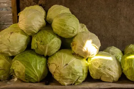 Kələm kəskin bahalaşdı (SƏBƏB)