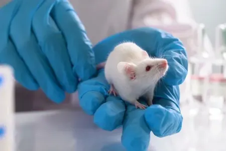 Yaşlanmağı gecikdirmək mümkündür?