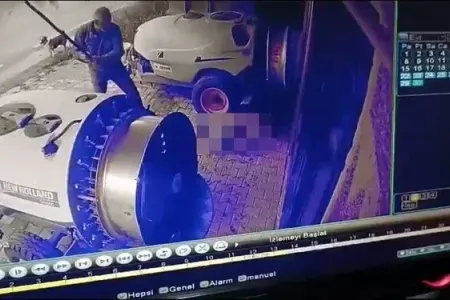 Toyuğunu yeyən iti döyərək öldürdü