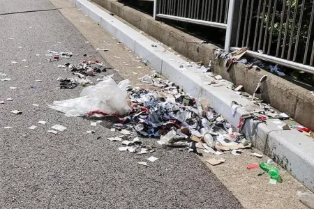 Şimali Koreya yenidən Cənuba zibil "hədiyyə etdi"