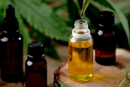 İnternet üzərindən çətənə yağı və toxumunun satışı qanunidirmi?