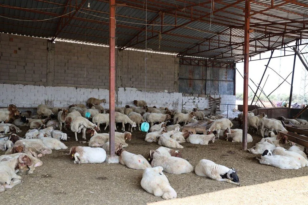 Bir məhəllə karantinə alındı