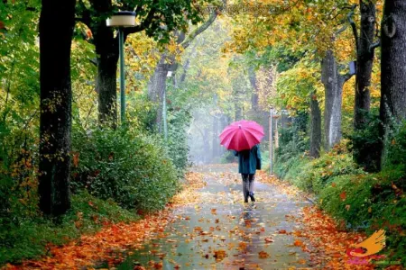 Havaların soyuması, günlərin qısalması insan psixologiyasın necə təsir edir?