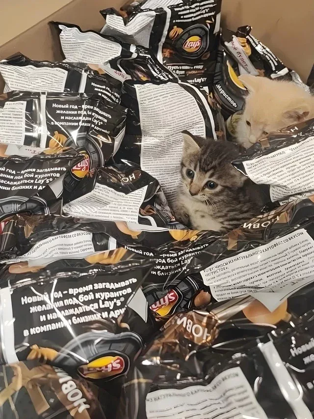 Mağaza işçilərinin tapdıqları diqqət çəkdi - – FOTO