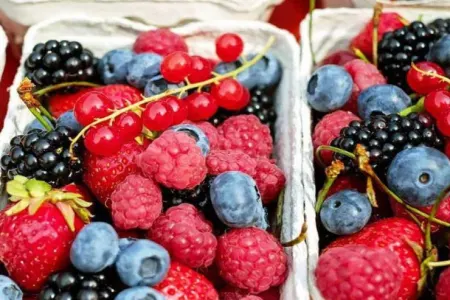 Hansı giləmeyvə orqanizmə daha faydalıdır?