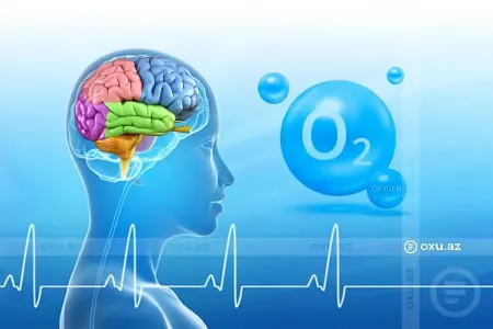 Beyinin oksigensiz qalmasının yarada biləcəyi - FƏSADLAR