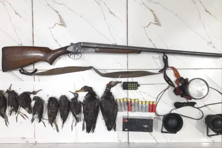 Astarada əməliyyat: 11 nəfərdən silah götürüldü