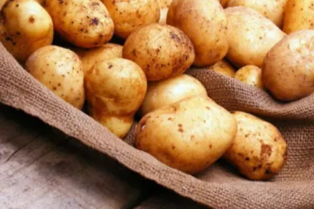 Kartofu aylarla necə təzə saxlamaq olar?